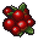 Berry