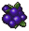 Blueberry