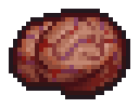 Brain