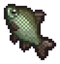 Bream