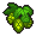Hops