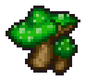 Swamp mushroom
