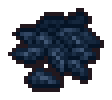 Onion seed